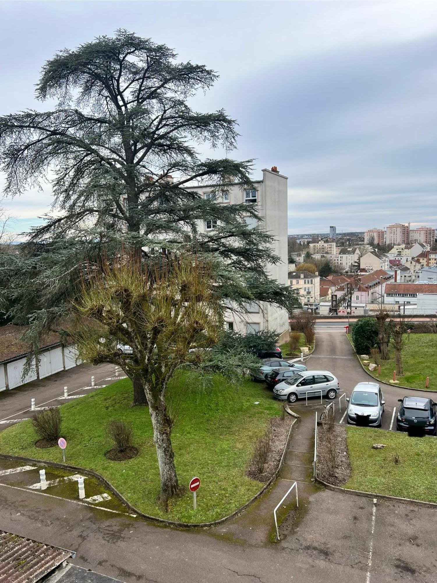 Le Bellevue - T3 - Gare & Les Jardins Darcy - Parking Free Apartment Dijon Exterior photo